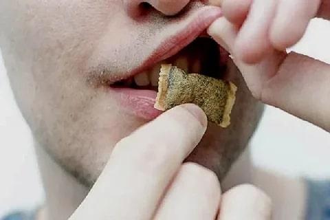 Можно ли глотать жевательный табак или слюну от него?
